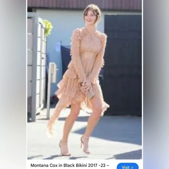 Super Rare 2017 Zimmermann Bowerbird Romance Mini Dress Runway Dress Size 1 - Picture 5 of 13